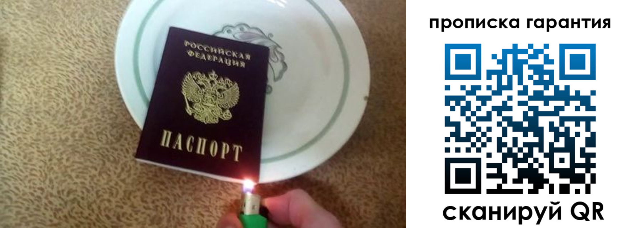прописка гарантия в Жирновске